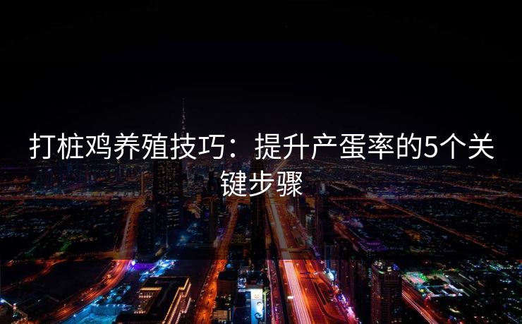 打桩鸡养殖技巧：提升产蛋率的5个关键步骤