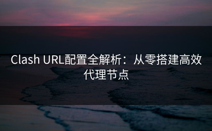 Clash URL配置全解析：从零搭建高效代理节点