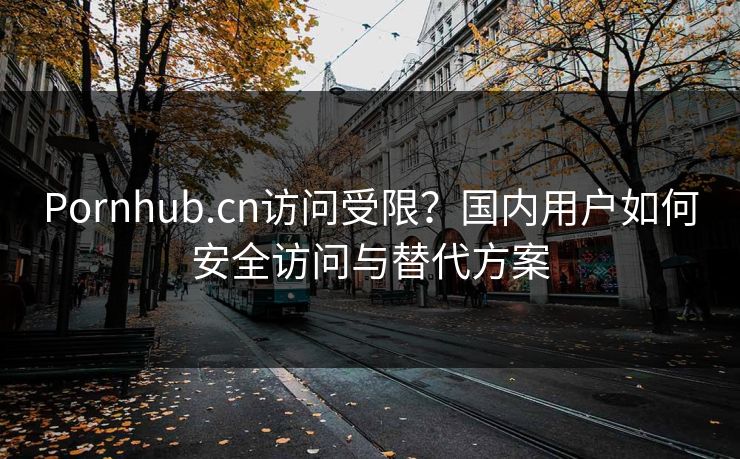 Pornhub.cn访问受限？国内用户如何安全访问与替代方案