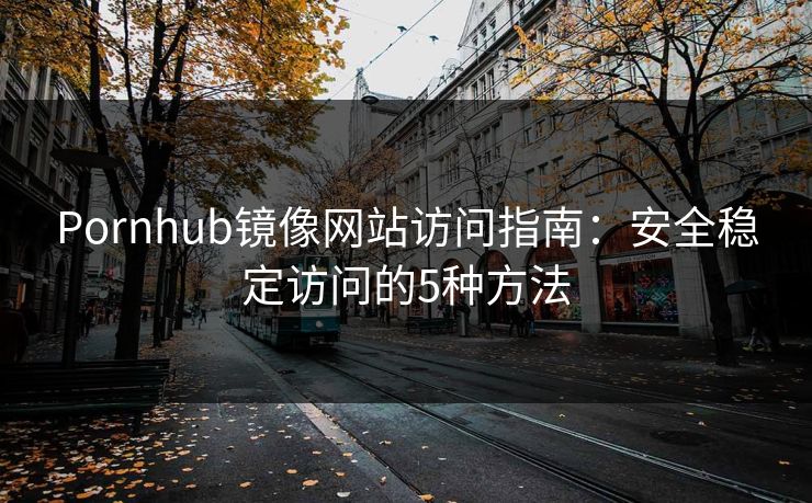 Pornhub镜像网站访问指南：安全稳定访问的5种方法